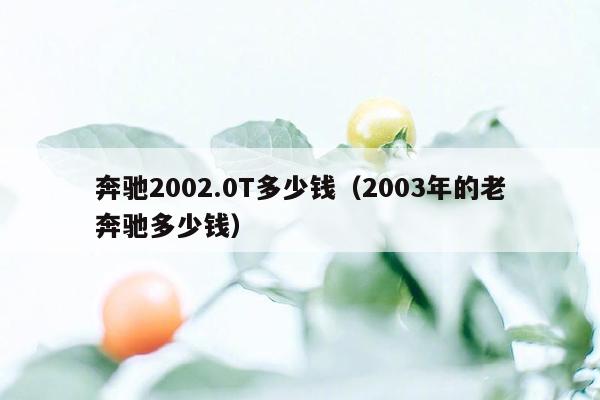 奔驰2002.0T多少钱（2003年的老奔驰多少钱）