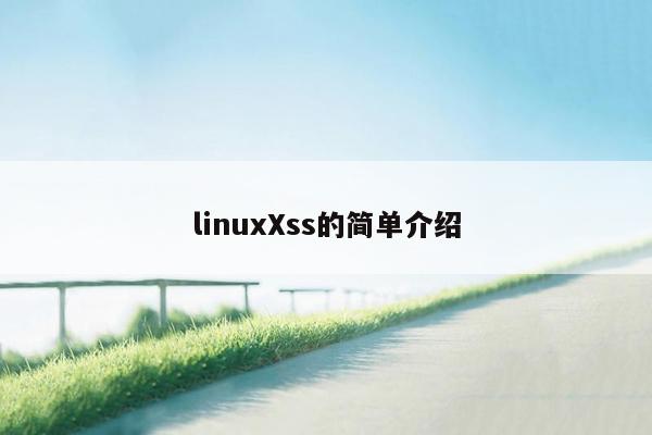 linuxXss的简单介绍