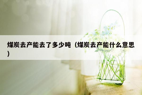 煤炭去产能去了多少吨（煤炭去产能什么意思）