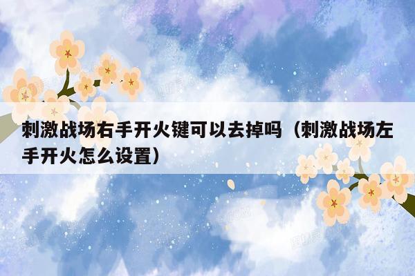 刺激战场右手开火键可以去掉吗（刺激战场左手开火怎么设置）