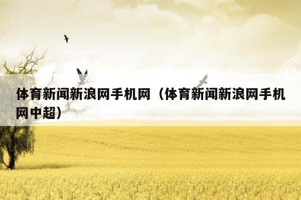 体育新闻新浪网手机网（体育新闻新浪网手机网中超）