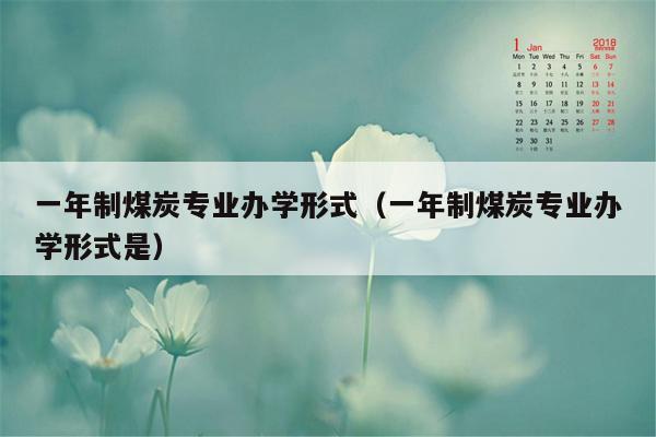 一年制煤炭专业办学形式（一年制煤炭专业办学形式是）