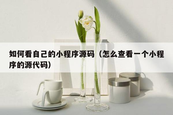 如何看自己的小程序源码（怎么查看一个小程序的源代码）