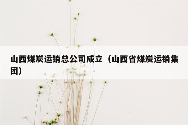 山西煤炭运销总公司成立（山西省煤炭运销集团）