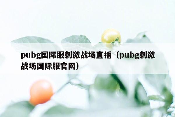 pubg国际服刺激战场直播（pubg刺激战场国际服官网）