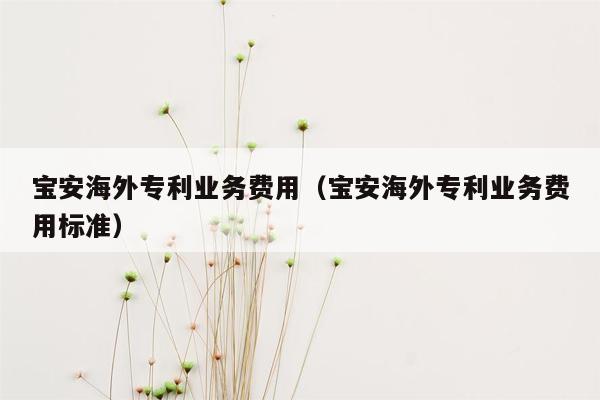宝安海外专利业务费用（宝安海外专利业务费用标准）
