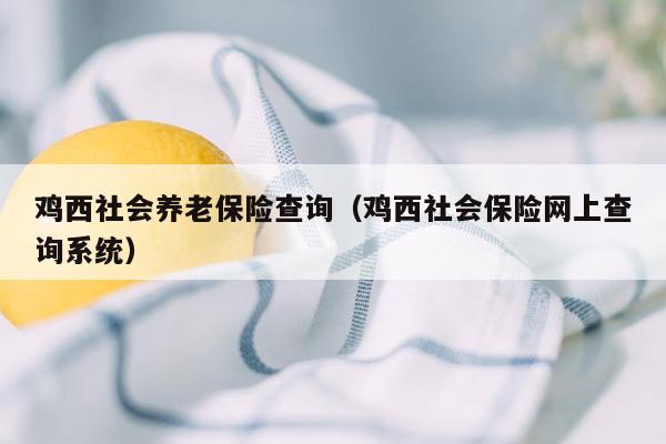 鸡西社会养老保险查询（鸡西社会保险网上查询系统）