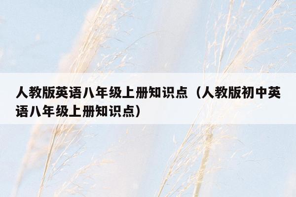 人教版英语八年级上册知识点（人教版初中英语八年级上册知识点）