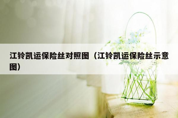 江铃凯运保险丝对照图（江铃凯运保险丝示意图）
