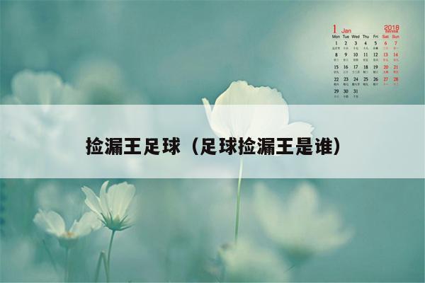 捡漏王足球（足球捡漏王是谁）