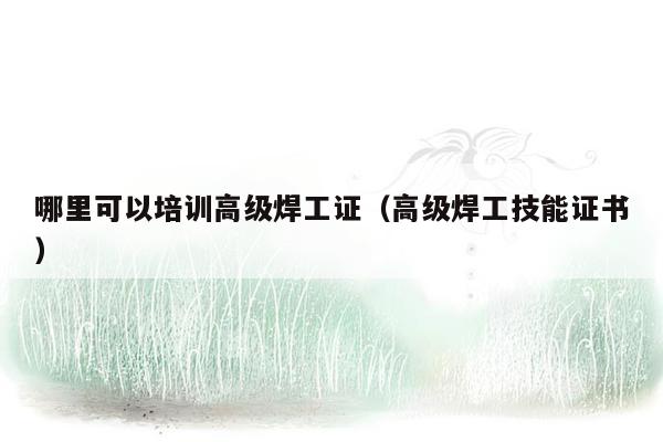 哪里可以培训高级焊工证（高级焊工技能证书）