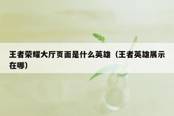 王者荣耀大厅页面是什么英雄（王者英雄展示在哪）