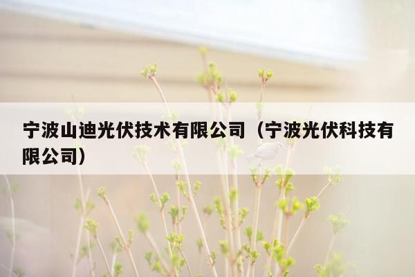 宁波山迪光伏技术有限公司（宁波光伏科技有限公司）