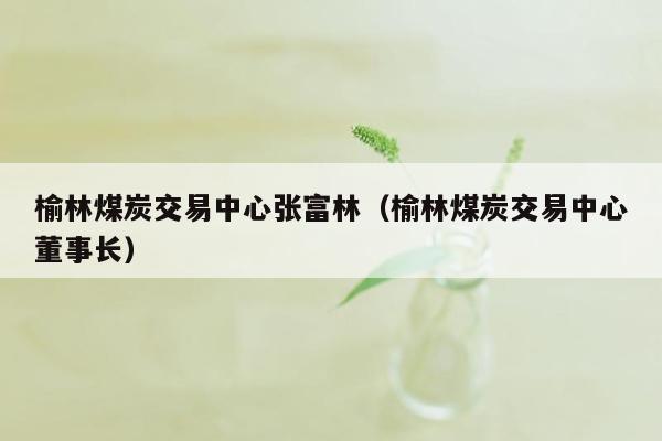榆林煤炭交易中心张富林（榆林煤炭交易中心董事长）