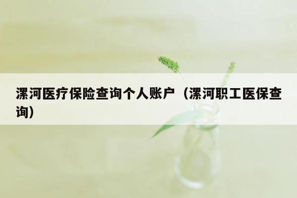 漯河医疗保险查询个人账户（漯河职工医保查询）