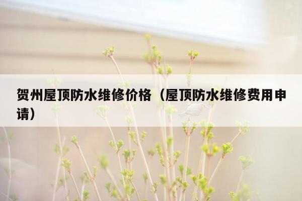 贺州屋顶防水维修价格（屋顶防水维修费用申请）
