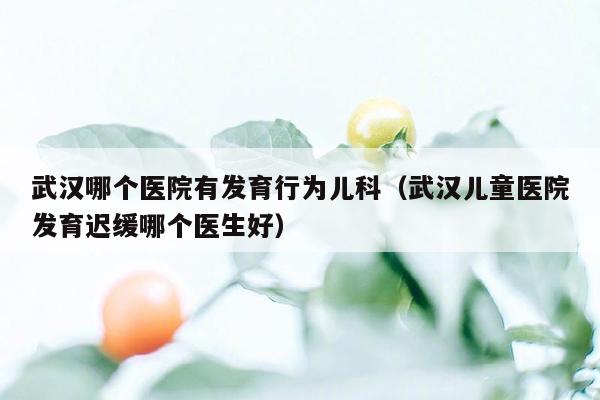 武汉哪个医院有发育行为儿科（武汉儿童医院发育迟缓哪个医生好）