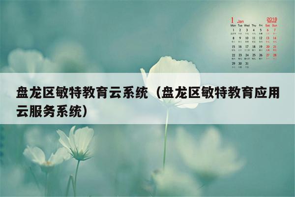 盘龙区敏特教育云系统（盘龙区敏特教育应用云服务系统）