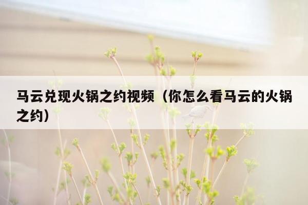 马云兑现火锅之约视频（你怎么看马云的火锅之约）