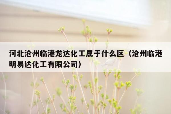 河北沧州临港龙达化工属于什么区（沧州临港明易达化工有限公司）