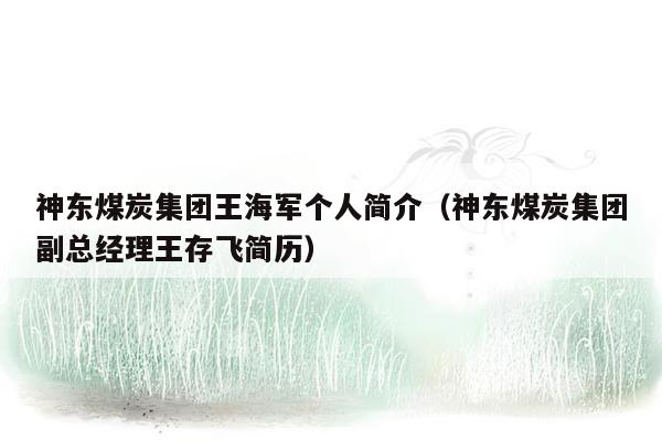 神东煤炭集团王海军个人简介（神东煤炭集团副总经理王存飞简历）