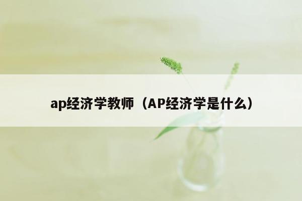 ap经济学教师（AP经济学是什么）
