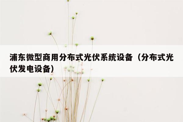浦东微型商用分布式光伏系统设备（分布式光伏发电设备）