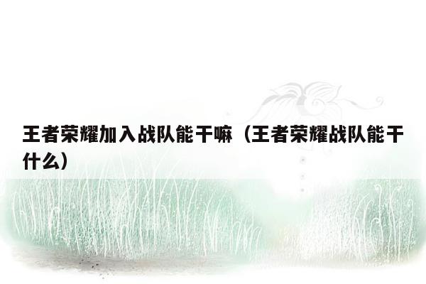 王者荣耀加入战队能干嘛（王者荣耀战队能干什么）