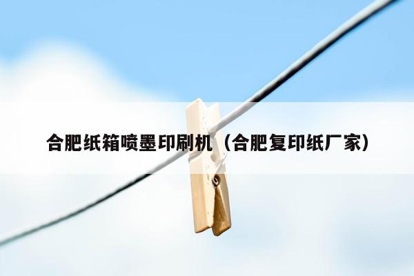 合肥纸箱喷墨印刷机（合肥复印纸厂家）