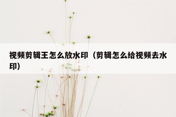 视频剪辑王怎么放水印（剪辑怎么给视频去水印）