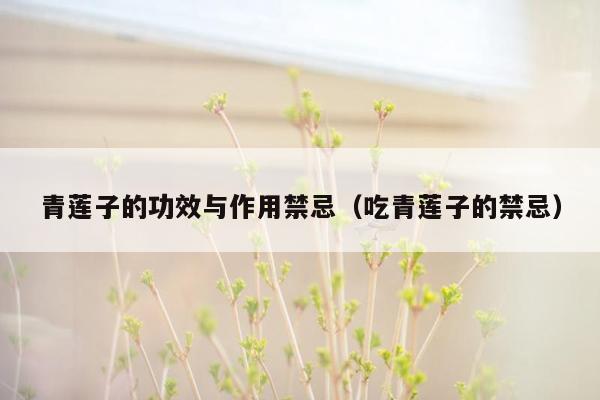 青莲子的功效与作用禁忌（吃青莲子的禁忌）