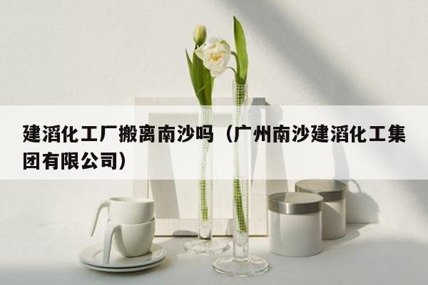 建滔化工厂搬离南沙吗（广州南沙建滔化工集团有限公司）