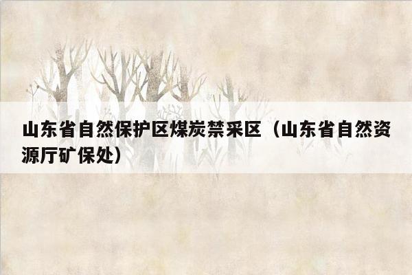 山东省自然保护区煤炭禁采区（山东省自然资源厅矿保处）