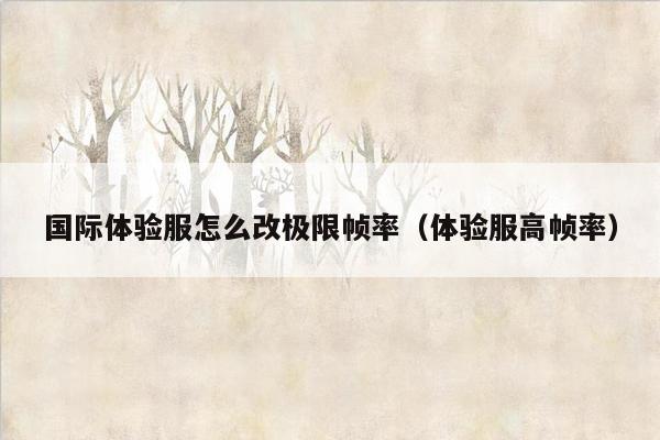 国际体验服怎么改极限帧率（体验服高帧率）