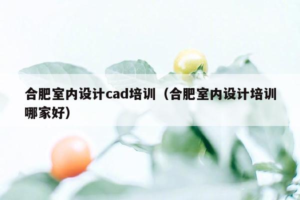 合肥室内设计cad培训（合肥室内设计培训哪家好）