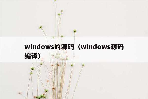windows的源码（windows源码编译）