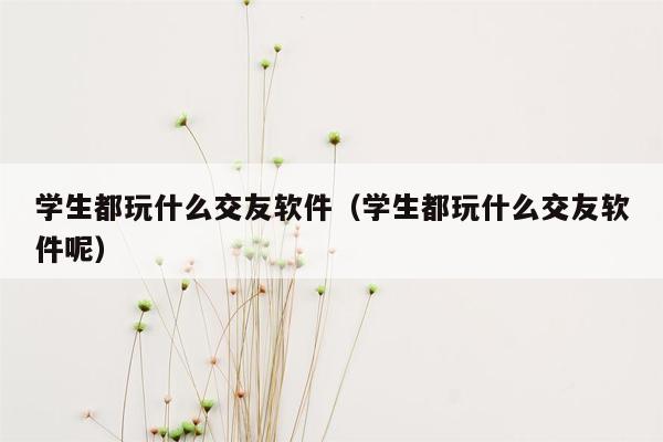 学生都玩什么交友软件（学生都玩什么交友软件呢）