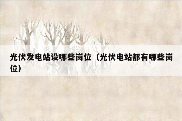 光伏发电站设哪些岗位（光伏电站都有哪些岗位）