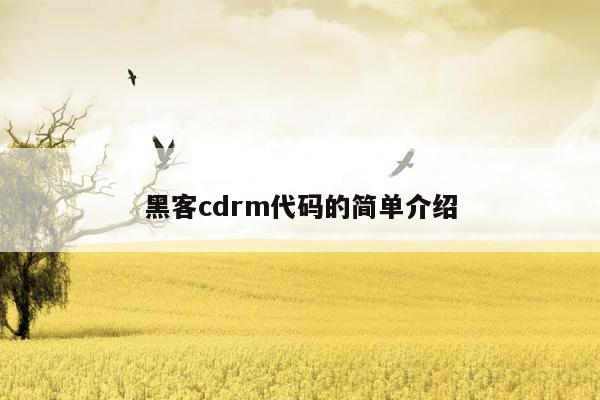 黑客cdrm代码的简单介绍