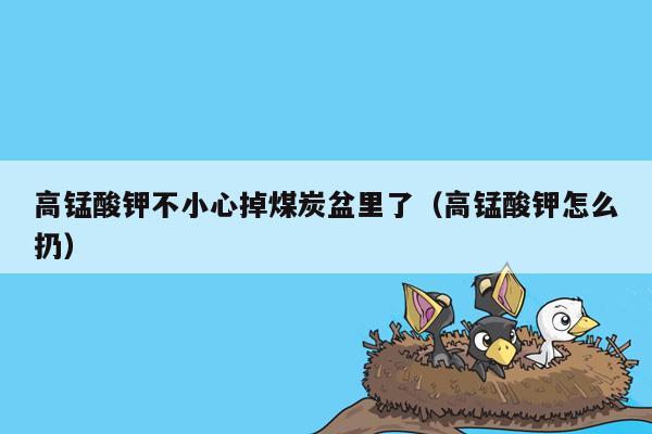 高锰酸钾不小心掉煤炭盆里了（高锰酸钾怎么扔）