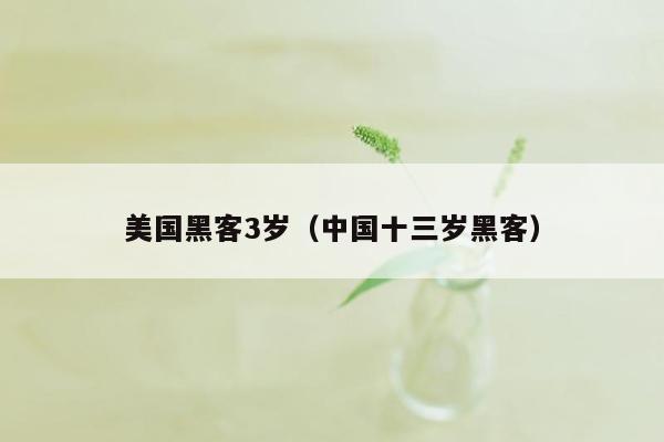 美国黑客3岁（中国十三岁黑客）