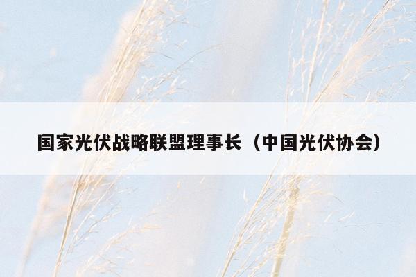 国家光伏战略联盟理事长（中国光伏协会）