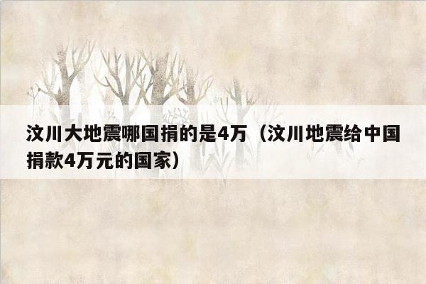 汶川大地震哪国捐的是4万（汶川地震给中国捐款4万元的国家）