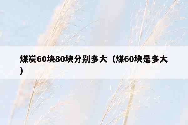 煤炭60块80块分别多大（煤60块是多大）