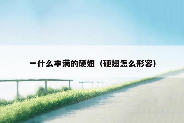 一什么丰满的硬翅（硬翅怎么形容）