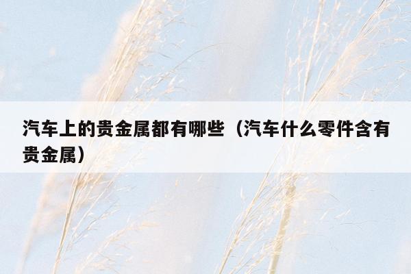 汽车上的贵金属都有哪些（汽车什么零件含有贵金属）