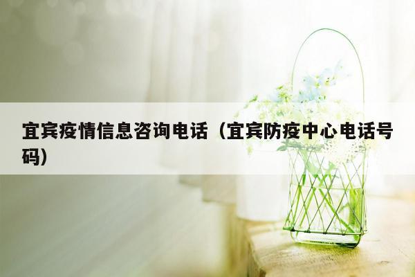 宜宾疫情信息咨询电话（宜宾防疫中心电话号码）