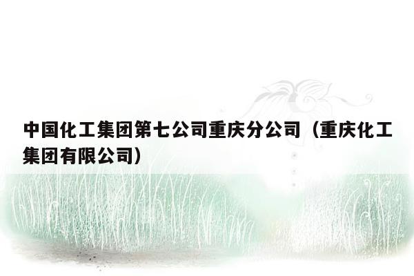 中国化工集团第七公司重庆分公司（重庆化工集团有限公司）