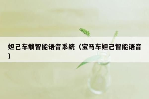 妲己车载智能语音系统（宝马车妲己智能语音）