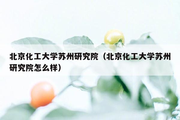 北京化工大学苏州研究院（北京化工大学苏州研究院怎么样）